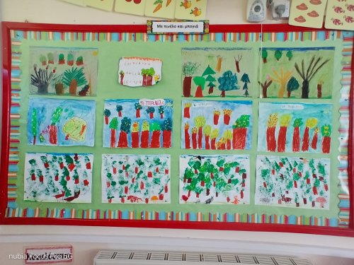 Το δάσος της Κύπρου