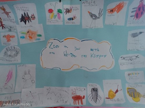 Ζώα που συναντάμε στην Κύπρο