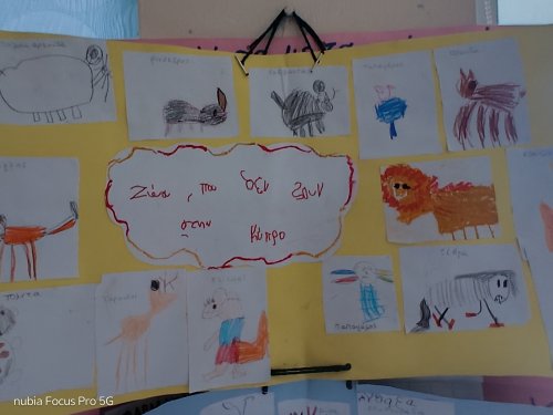 Ζώα που δεν συναντώ στην Κύπρο